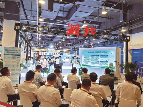 數(shù)智產(chǎn)品改變生活 17件湖北精品閃耀服貿(mào)會